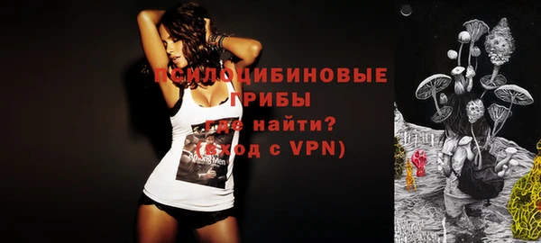 mdpv Козловка