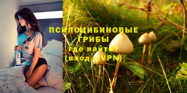 mdpv Козловка