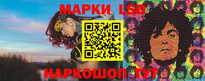 хмурый Новозыбков
