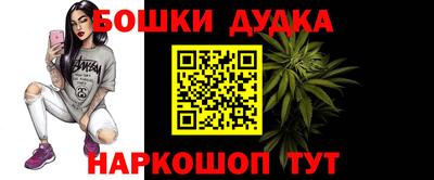 мдпв Новодвинск