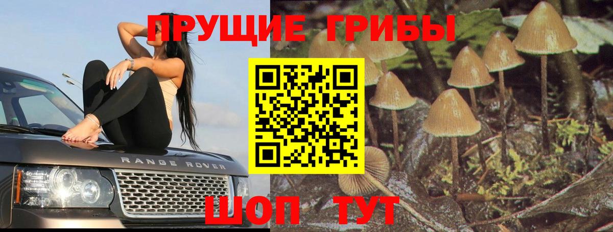 Псилоцибиновые грибы мухоморы  Галлюциногенные грибы мицелий  Славянск-на-Кубани  хочу   Вход с VPN 
