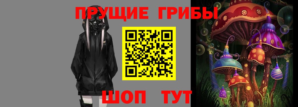 Галлюциногенные грибы Psilocybe Славянск-на-Кубани